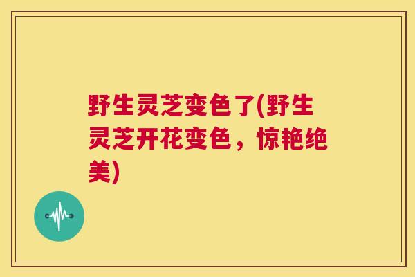 野生灵芝变色了(野生灵芝开花变色，惊艳绝美)
