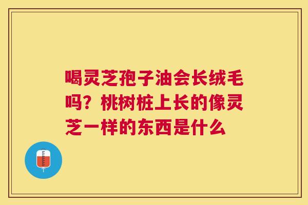 喝灵芝孢子油会长绒毛吗？桃树桩上长的像灵芝一样的东西是什么