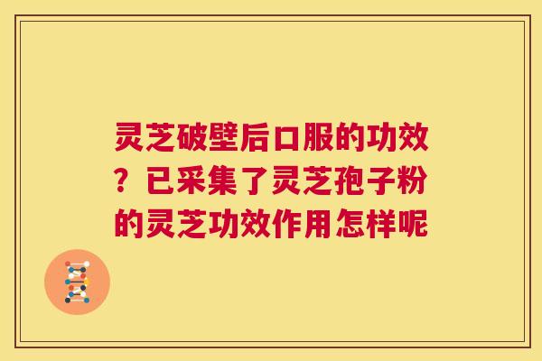 灵芝破壁后口服的功效？已采集了灵芝孢子粉的灵芝功效作用怎样呢