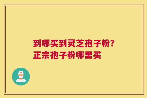 到哪买到灵芝孢子粉？正宗孢子粉哪里买