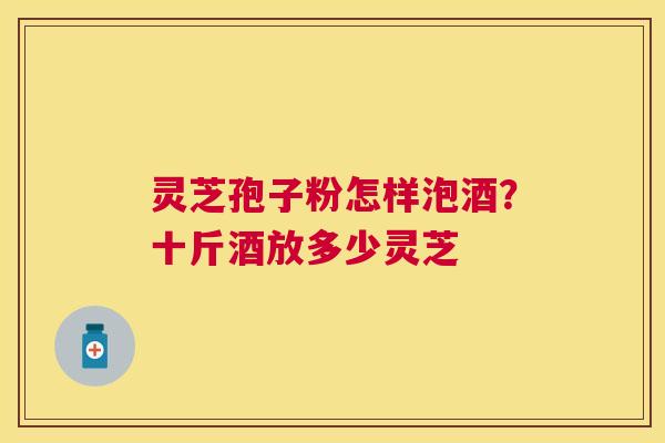 灵芝孢子粉怎样泡酒？十斤酒放多少灵芝