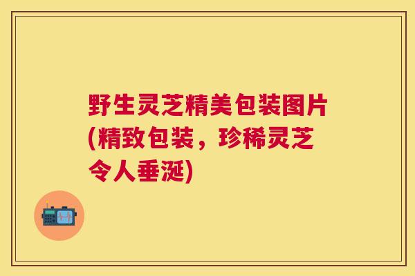 野生灵芝精美包装图片(精致包装，珍稀灵芝令人垂涎)