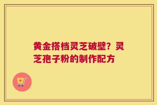 黄金搭档灵芝破壁？灵芝孢子粉的制作配方