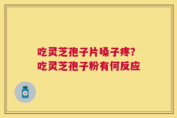 吃灵芝孢子片嗓子疼？吃灵芝孢子粉有何反应
