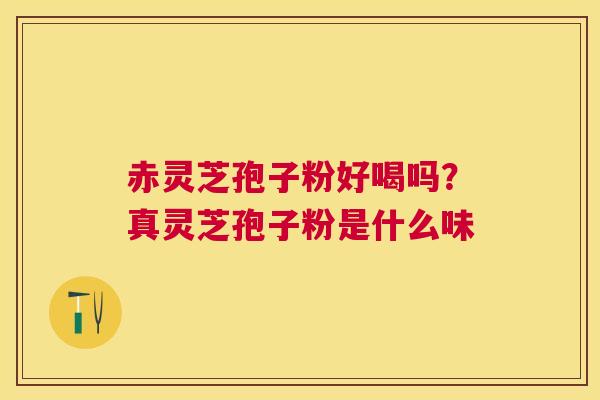 赤灵芝孢子粉好喝吗？真灵芝孢子粉是什么味