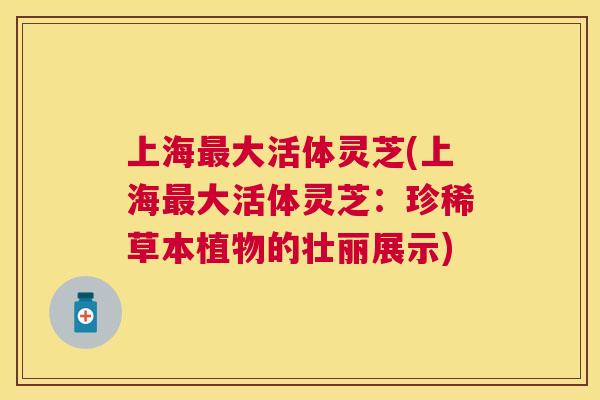 上海大活体灵芝(上海大活体灵芝：珍稀草本植物的壮丽展示)