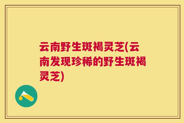 云南野生斑褐灵芝(云南发现珍稀的野生斑褐灵芝)