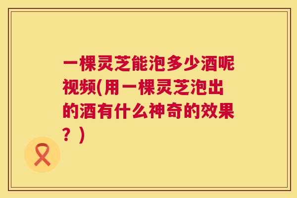 一棵灵芝能泡多少酒呢视频(用一棵灵芝泡出的酒有什么神奇的效果？)