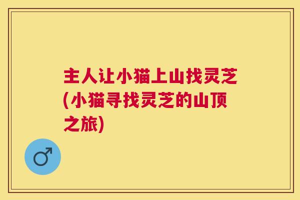 主人让小猫上山找灵芝(小猫寻找灵芝的山顶之旅)