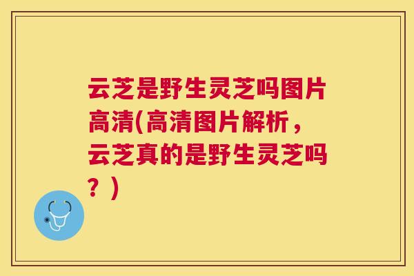 云芝是野生灵芝吗图片高清(高清图片解析，云芝真的是野生灵芝吗？)