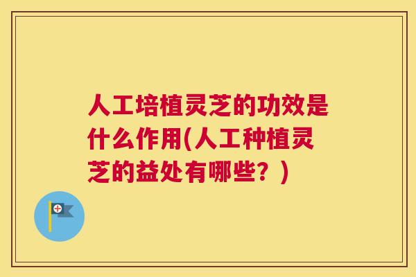 人工培植灵芝的功效是什么作用(人工种植灵芝的益处有哪些？)