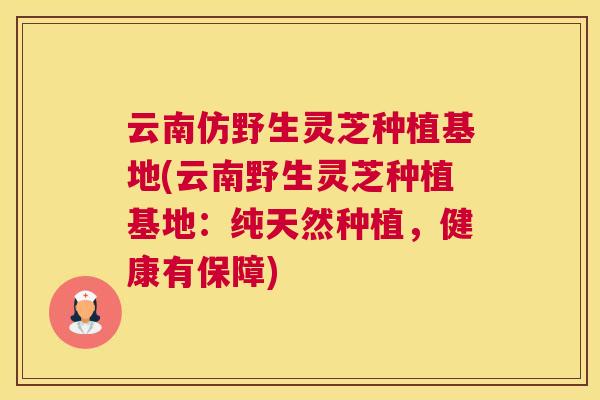 云南仿野生灵芝种植基地(云南野生灵芝种植基地：纯天然种植，健康有保障)