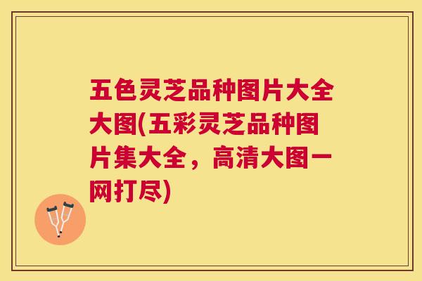 五色灵芝品种图片大全大图(五彩灵芝品种图片集大全，高清大图一网打尽)