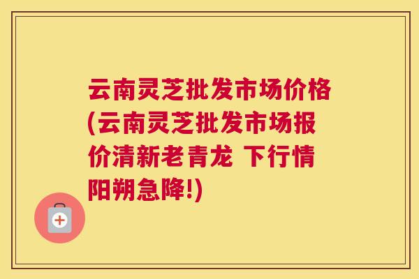 云南灵芝批发市场价格(云南灵芝批发市场报价清新老青龙 下行情阳朔急降!)