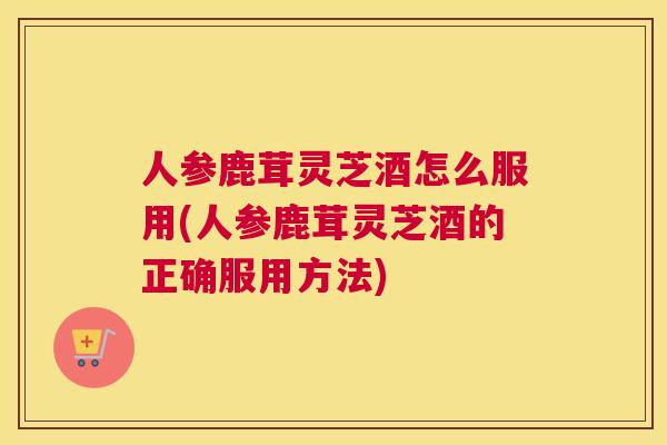 人参鹿茸灵芝酒怎么服用(人参鹿茸灵芝酒的正确服用方法)