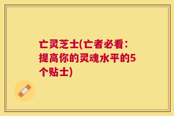 亡灵芝士(亡者必看：提高你的灵魂水平的5个贴士)