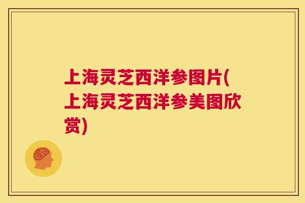 上海灵芝西洋参图片(上海灵芝西洋参美图欣赏)