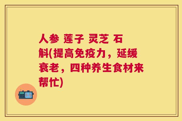 人参 莲子 灵芝 石斛(提高免疫力，延缓，四种养生食材来帮忙)