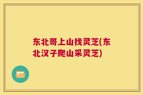 东北哥上山找灵芝(东北汉子爬山采灵芝)