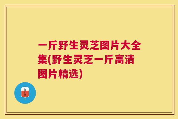 一斤野生灵芝图片大全集(野生灵芝一斤高清图片精选)