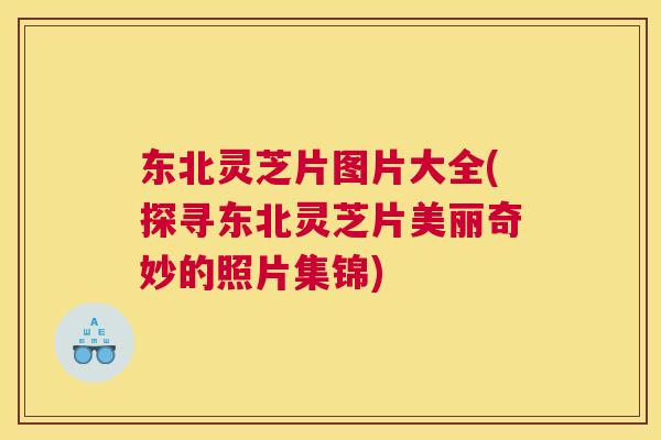 东北灵芝片图片大全(探寻东北灵芝片美丽奇妙的照片集锦)