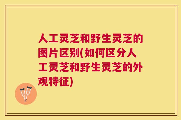 人工灵芝和野生灵芝的图片区别(如何区分人工灵芝和野生灵芝的外观特征)