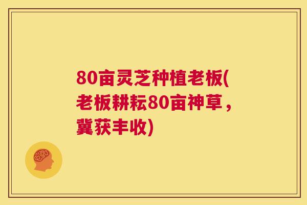 80亩灵芝种植老板(老板耕耘80亩神草，冀获丰收)