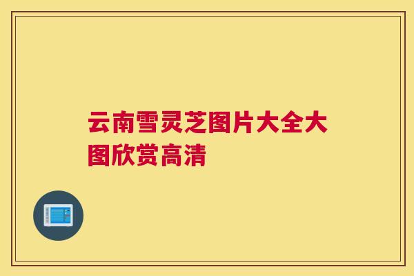 云南雪灵芝图片大全大图欣赏高清