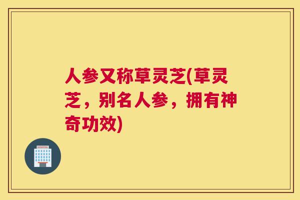 人参又称草灵芝(草灵芝，别名人参，拥有神奇功效)