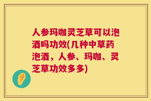 人参玛咖灵芝草可以泡酒吗功效(几种中草药泡酒，人参、玛咖、灵芝草功效多多)