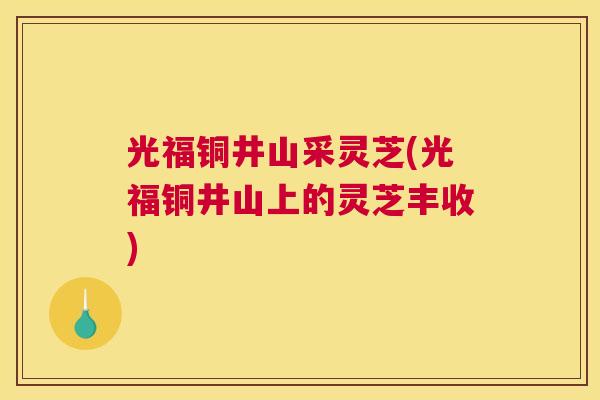 光福铜井山采灵芝(光福铜井山上的灵芝丰收)