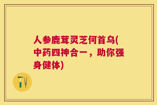 人参鹿茸灵芝何首乌(四神合一，助你强身健体)