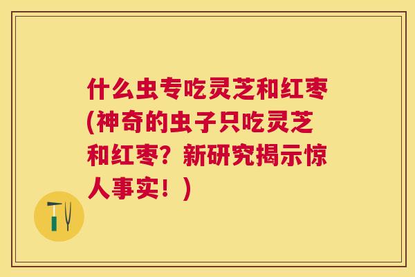 什么虫专吃灵芝和红枣(神奇的虫子只吃灵芝和红枣？新研究揭示惊人事实！)