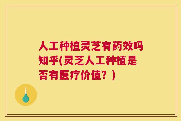 人工种植灵芝有吗知乎(灵芝人工种植是否有医疗价值？)