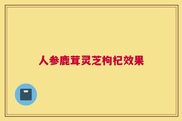 人参鹿茸灵芝枸杞效果