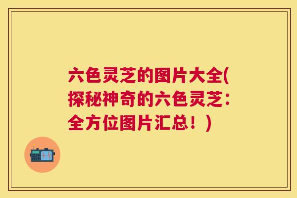 六色灵芝的图片大全(探秘神奇的六色灵芝：全方位图片汇总！)