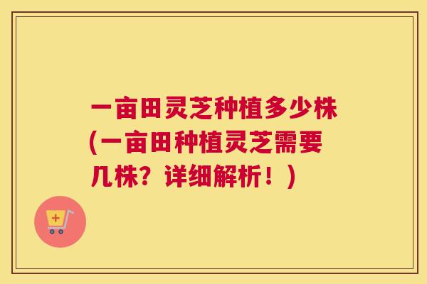 一亩田灵芝种植多少株(一亩田种植灵芝需要几株？详细解析！)