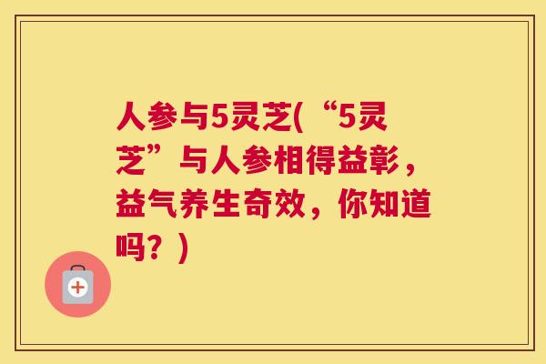 人参与5灵芝(“5灵芝”与人参相得益彰，益气养生奇效，你知道吗？)