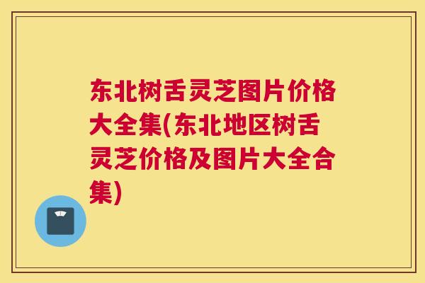 东北树舌灵芝图片价格大全集(东北地区树舌灵芝价格及图片大全合集)