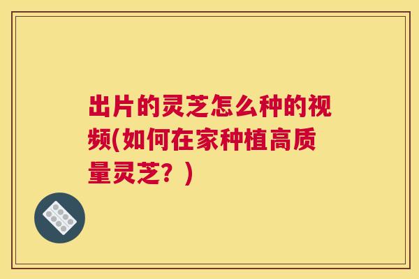 出片的灵芝怎么种的视频(如何在家种植高质量灵芝？)