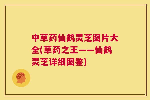 中草药仙鹤灵芝图片大全(草药之王——仙鹤灵芝详细图鉴)