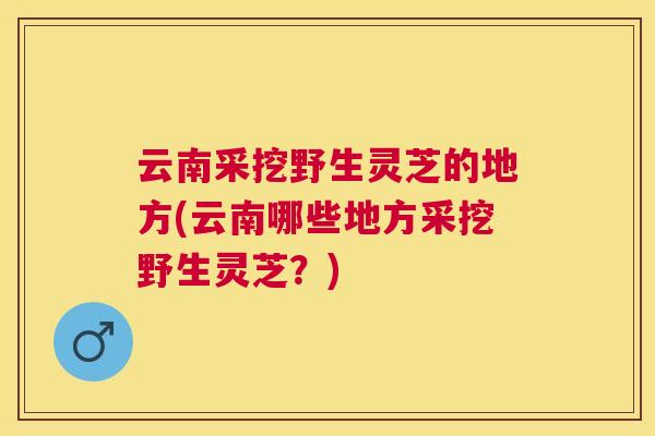 云南采挖野生灵芝的地方(云南哪些地方采挖野生灵芝？)