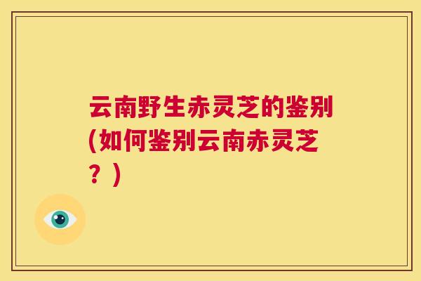云南野生赤灵芝的鉴别(如何鉴别云南赤灵芝？)