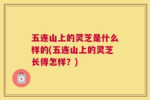五连山上的灵芝是什么样的(五连山上的灵芝长得怎样？)