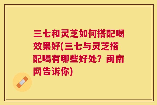 三七和灵芝如何搭配喝效果好(三七与灵芝搭配喝有哪些好处？闽南网告诉你)