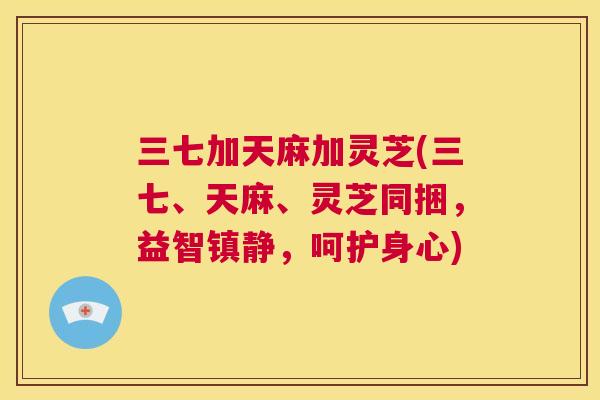 三七加天麻加灵芝(三七、天麻、灵芝同捆，益智，呵护身心)