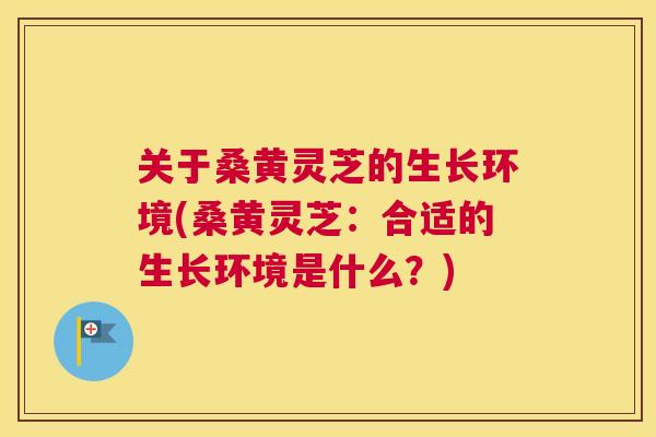 关于桑黄灵芝的生长环境(桑黄灵芝：合适的生长环境是什么？)