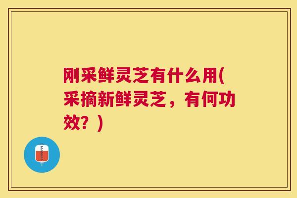 刚采鲜灵芝有什么用(采摘新鲜灵芝，有何功效？)