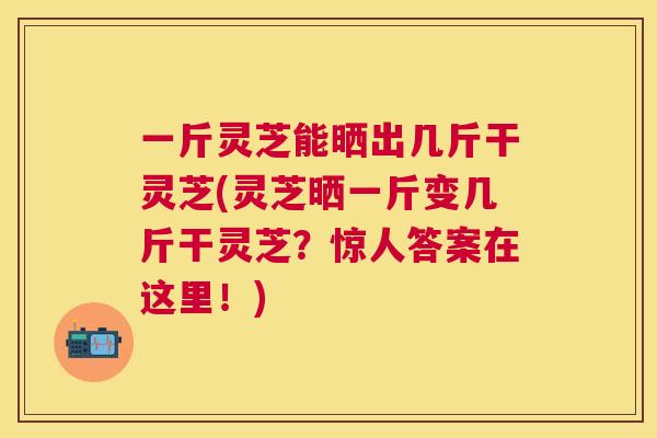 一斤灵芝能晒出几斤干灵芝(灵芝晒一斤变几斤干灵芝？惊人答案在这里！)