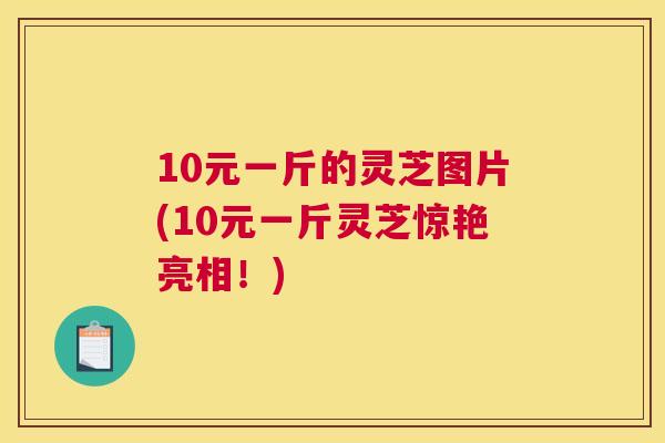 10元一斤的灵芝图片(10元一斤灵芝惊艳亮相！)